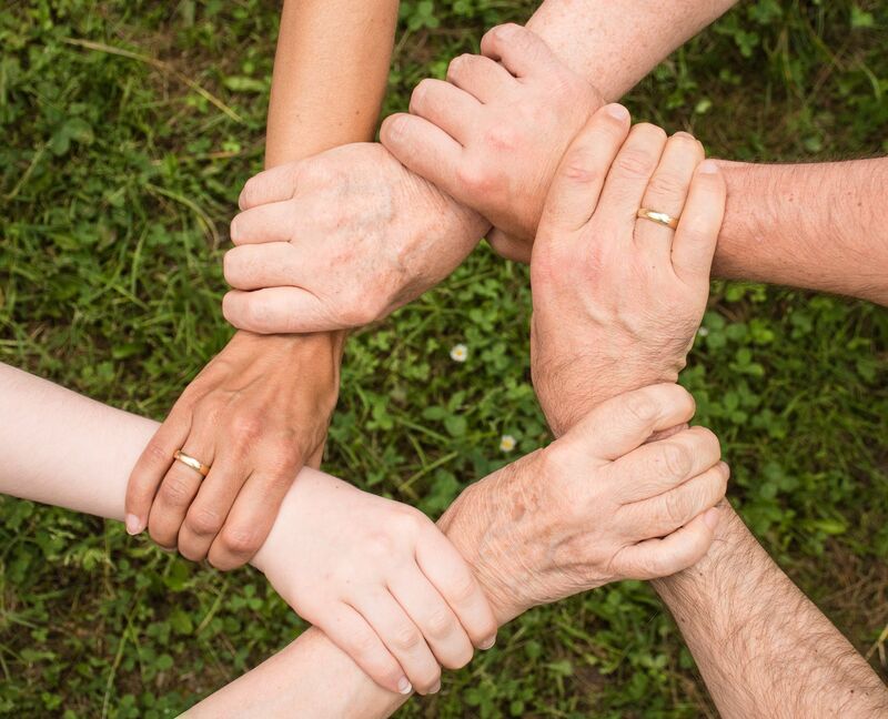 anthelys Conseils - famille