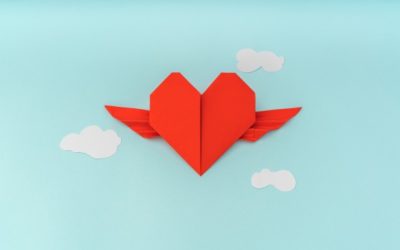 Bientôt la Saint Valentin : parlons régimes matrimoniaux ;)